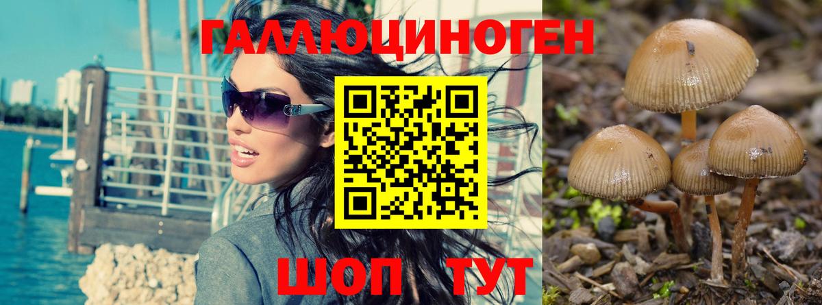 Галлюциногенные грибы прущие грибы  Галлюциногенные грибы Magic Shrooms  Липецк  Вход с VPN 