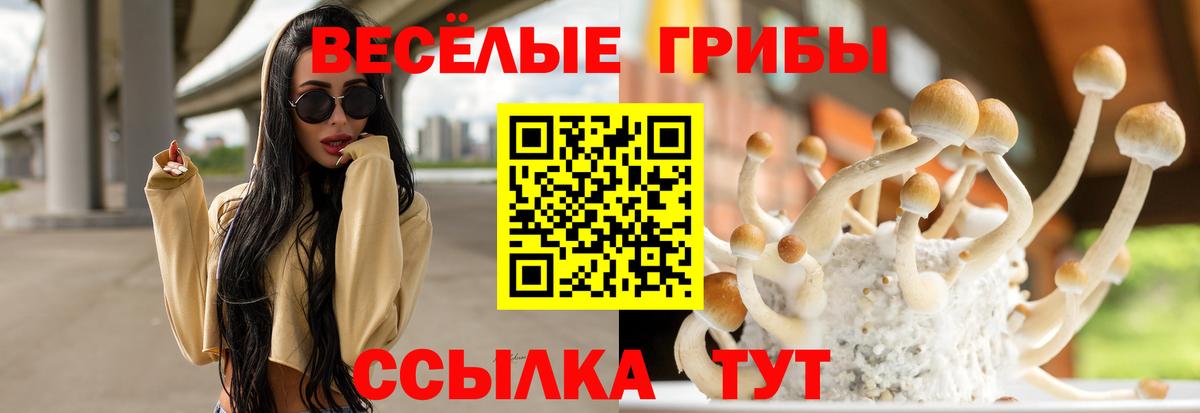 Псилоцибиновые грибы Psilocybe Липецк